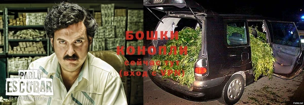 дурь Арсеньев