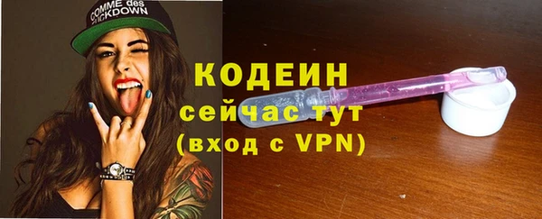 дурь Арсеньев
