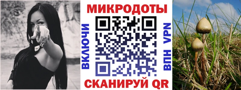 Купить где  Осташков  Псилоцибиновые грибы MAGIC MUSHROOMS 